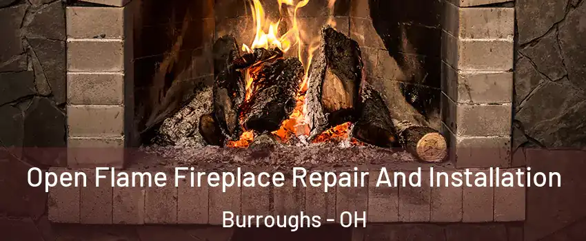 Open Flame Fireplace Repair And Installation Burroughs - OH