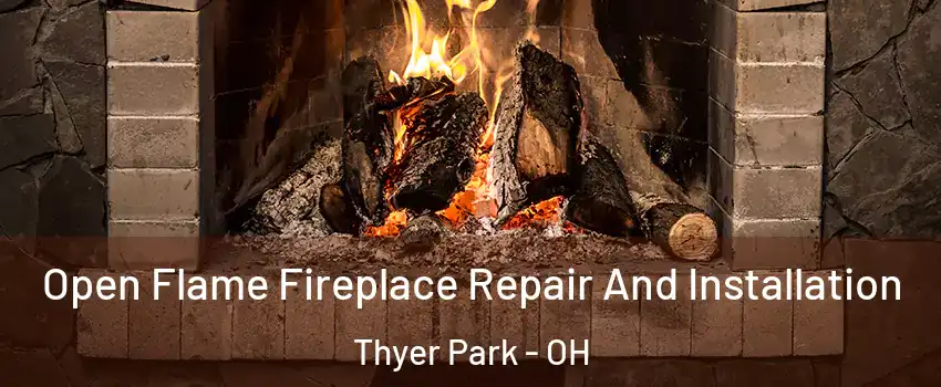 Open Flame Fireplace Repair And Installation Thyer Park - OH