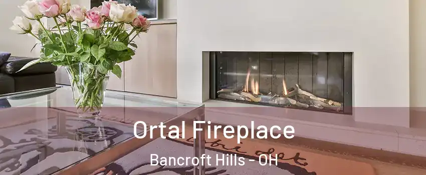 Ortal Fireplace Bancroft Hills - OH