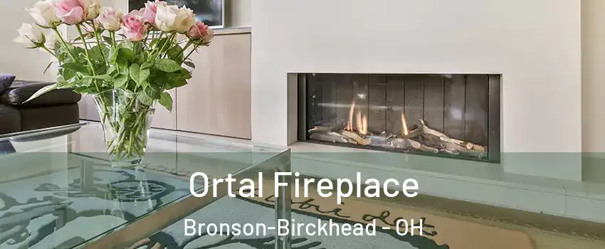 Ortal Fireplace Bronson-Birckhead - OH