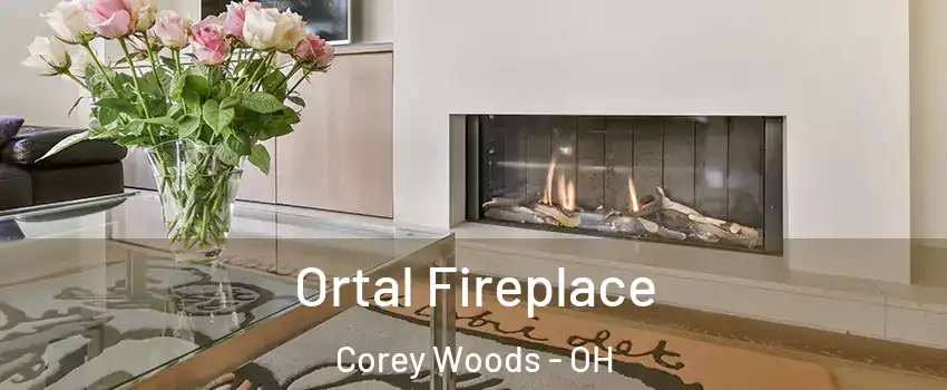 Ortal Fireplace Corey Woods - OH
