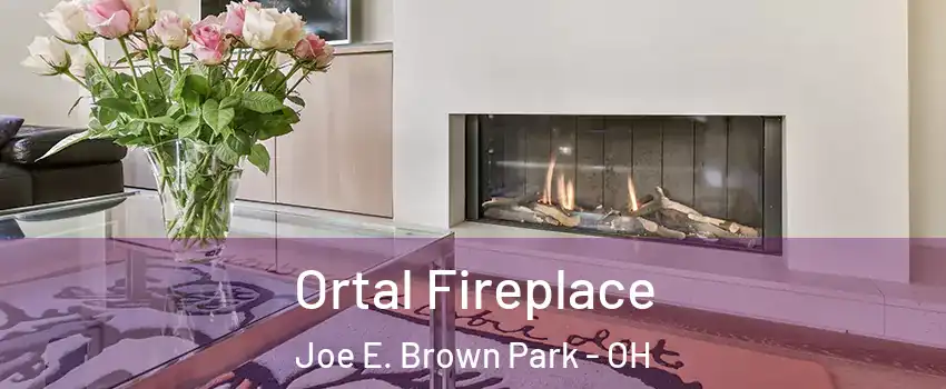Ortal Fireplace Joe E. Brown Park - OH