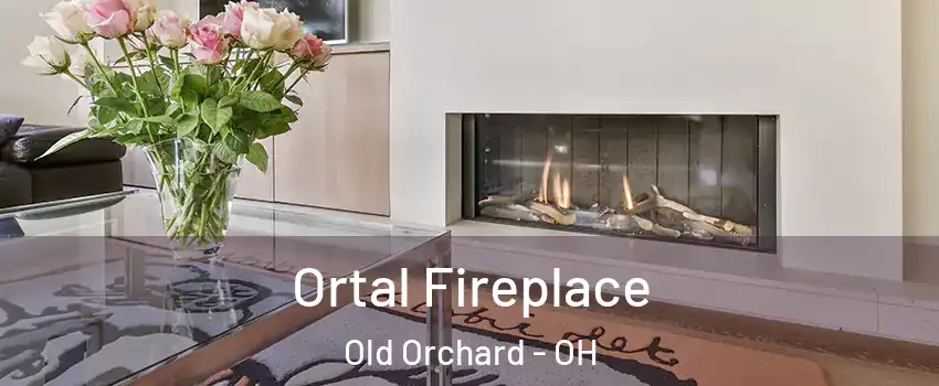 Ortal Fireplace Old Orchard - OH