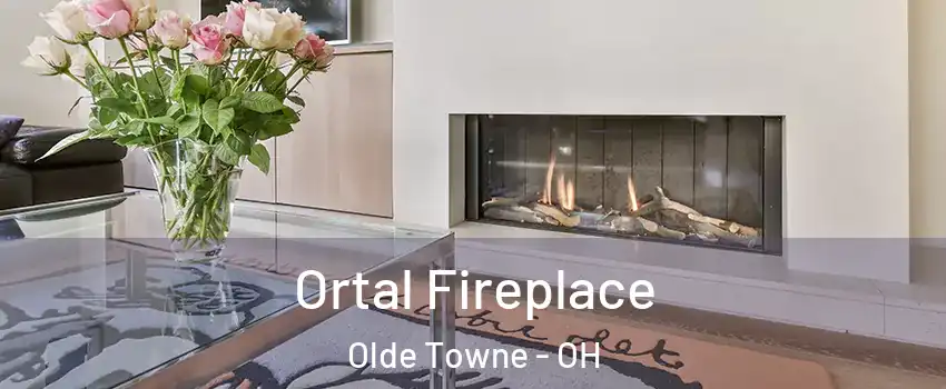 Ortal Fireplace Olde Towne - OH