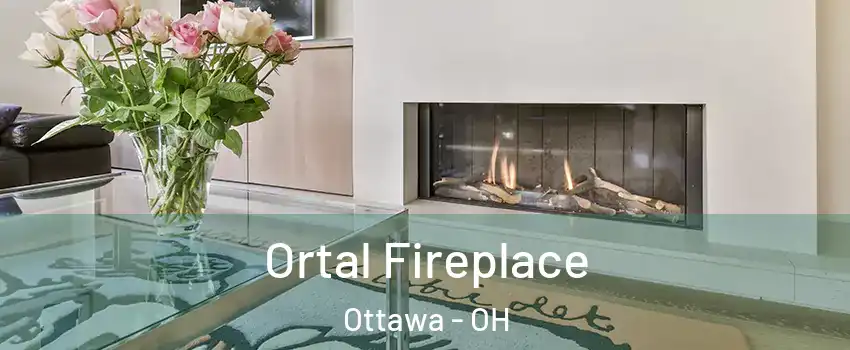 Ortal Fireplace Ottawa - OH