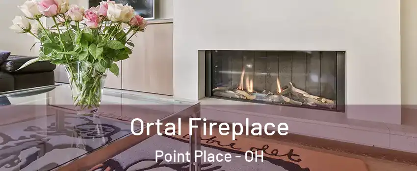 Ortal Fireplace Point Place - OH
