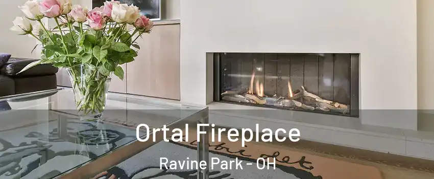 Ortal Fireplace Ravine Park - OH