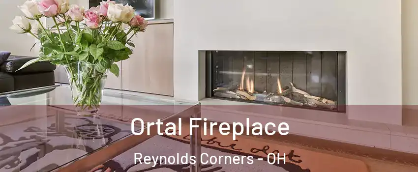 Ortal Fireplace Reynolds Corners - OH