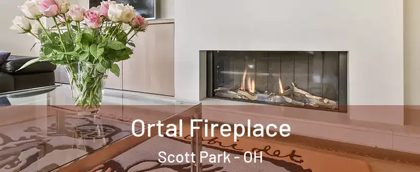 Ortal Fireplace Scott Park - OH