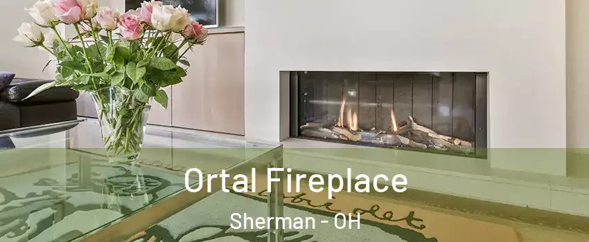 Ortal Fireplace Sherman - OH