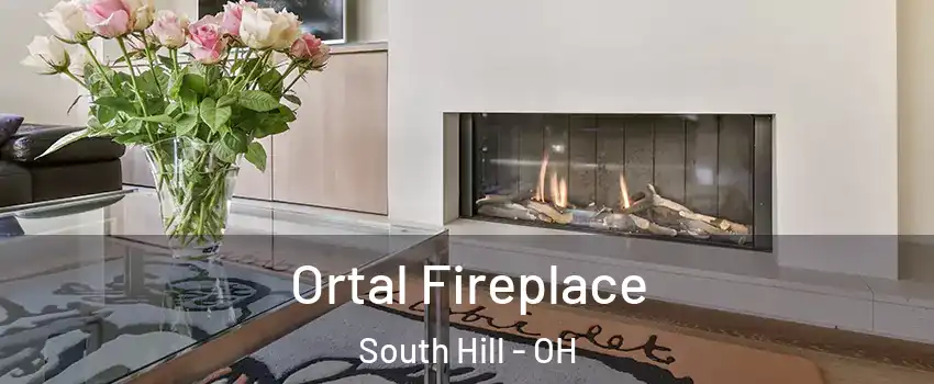 Ortal Fireplace South Hill - OH