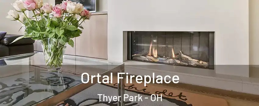 Ortal Fireplace Thyer Park - OH