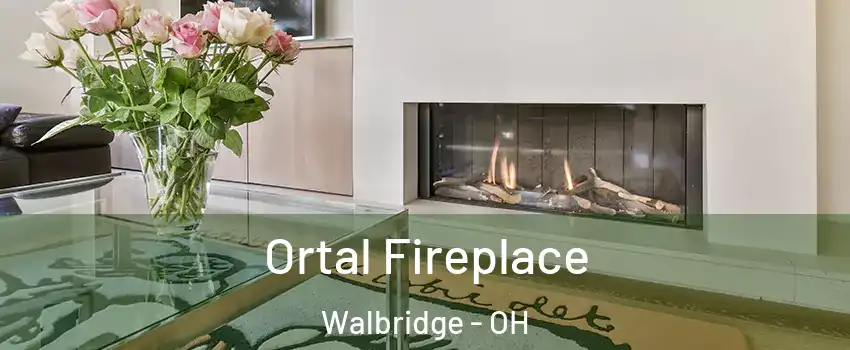 Ortal Fireplace Walbridge - OH