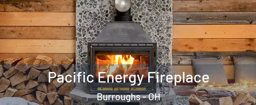 Pacific Energy Fireplace Burroughs - OH