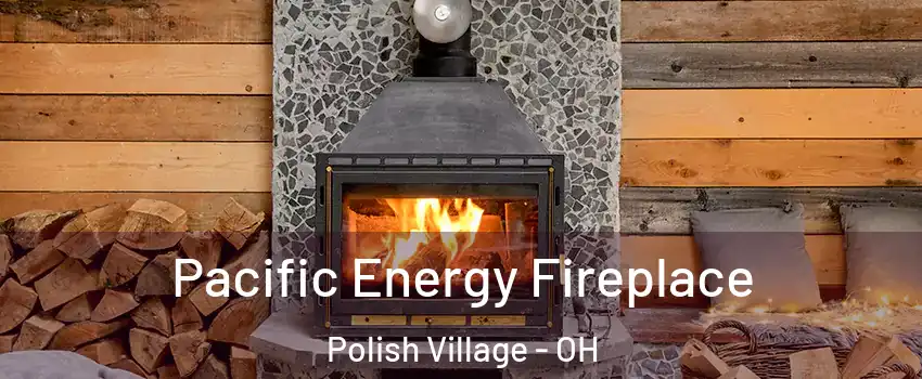 Pacific Energy Fireplace Polish Village - OH