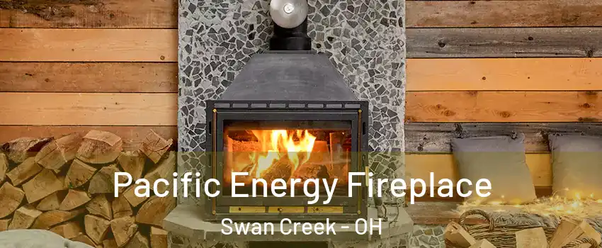 Pacific Energy Fireplace Swan Creek - OH