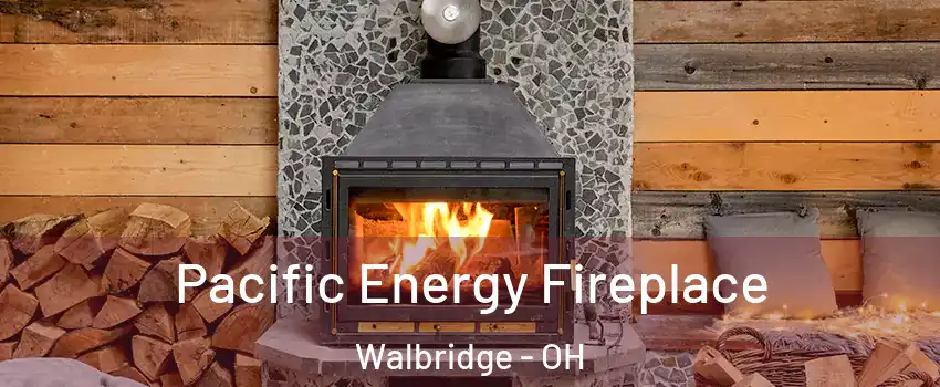 Pacific Energy Fireplace Walbridge - OH