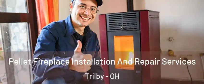 Pellet Fireplace Installation And Repair Services Trilby - OH
