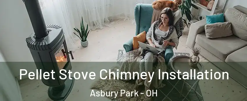 Pellet Stove Chimney Installation Asbury Park - OH