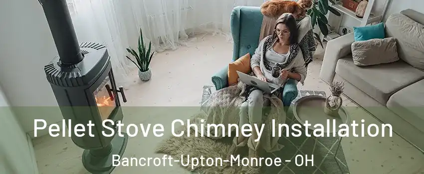 Pellet Stove Chimney Installation Bancroft-Upton-Monroe - OH