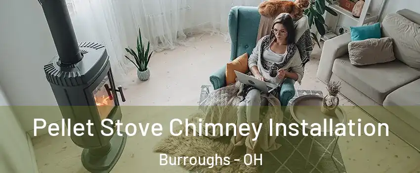 Pellet Stove Chimney Installation Burroughs - OH