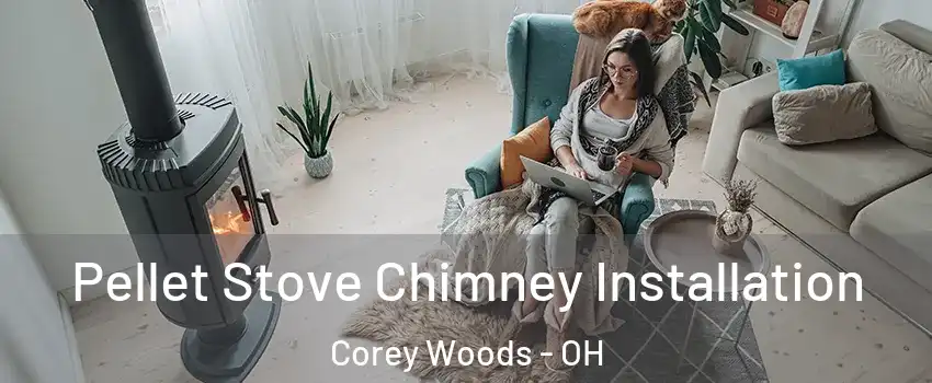 Pellet Stove Chimney Installation Corey Woods - OH