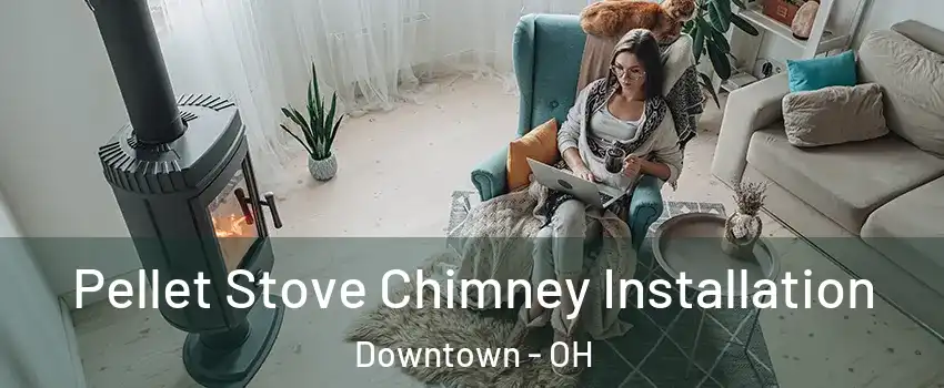 Pellet Stove Chimney Installation Downtown - OH