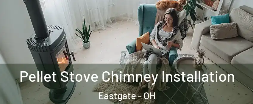 Pellet Stove Chimney Installation Eastgate - OH