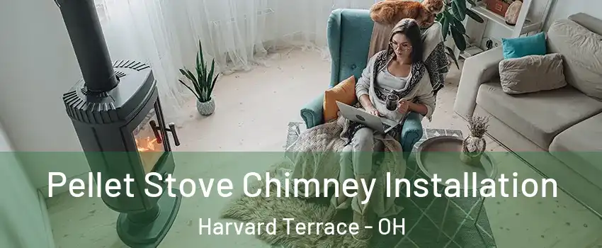 Pellet Stove Chimney Installation Harvard Terrace - OH