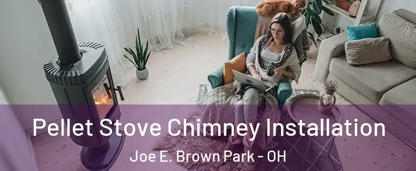 Pellet Stove Chimney Installation Joe E. Brown Park - OH