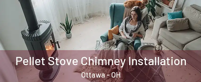 Pellet Stove Chimney Installation Ottawa - OH