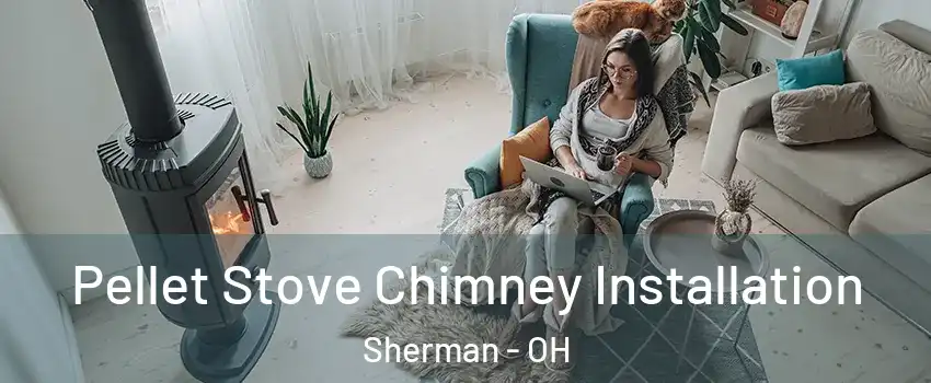 Pellet Stove Chimney Installation Sherman - OH