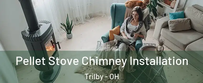 Pellet Stove Chimney Installation Trilby - OH