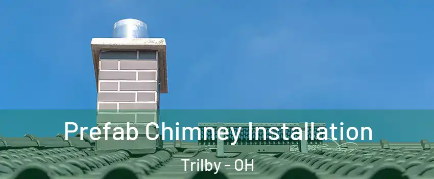 Prefab Chimney Installation Trilby - OH