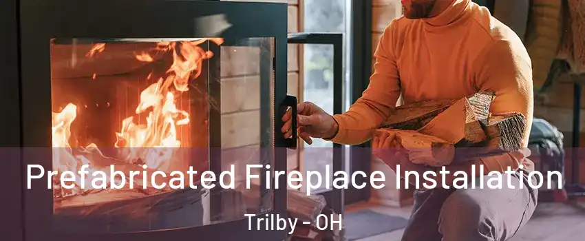 Prefabricated Fireplace Installation Trilby - OH