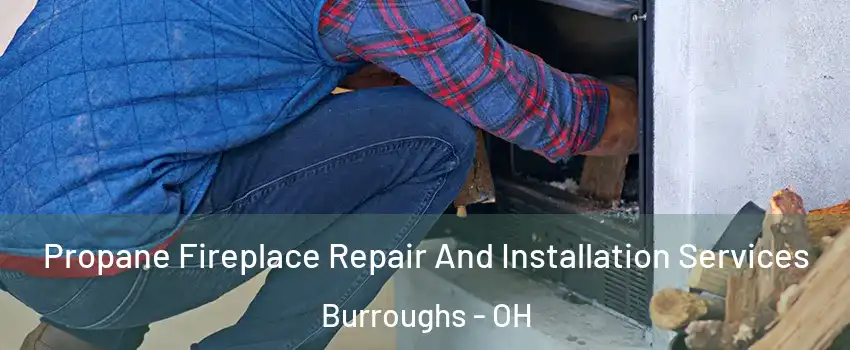 Propane Fireplace Repair And Installation Services Burroughs - OH