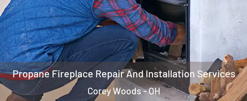 Propane Fireplace Repair And Installation Services Corey Woods - OH