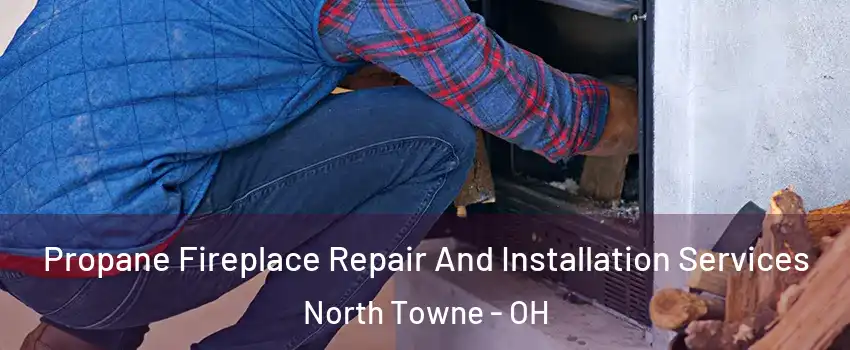 Propane Fireplace Repair And Installation Services North Towne - OH