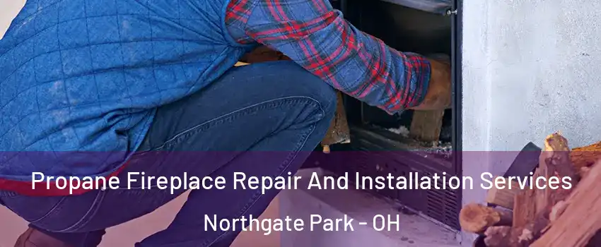Propane Fireplace Repair And Installation Services Northgate Park - OH