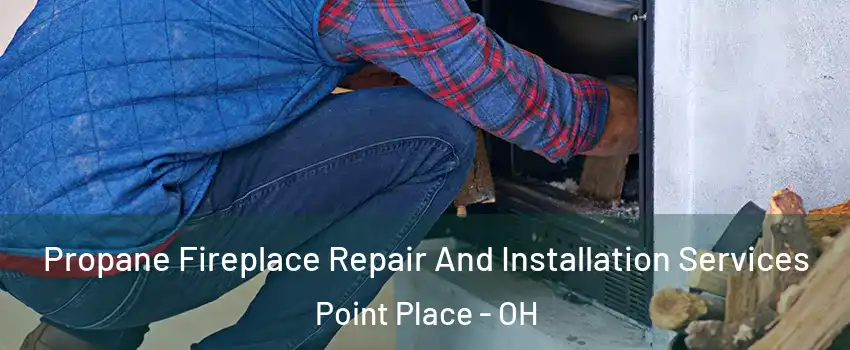 Propane Fireplace Repair And Installation Services Point Place - OH