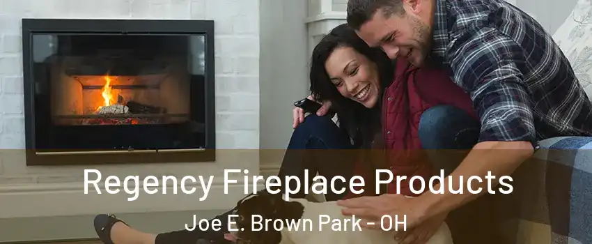 Regency Fireplace Products Joe E. Brown Park - OH