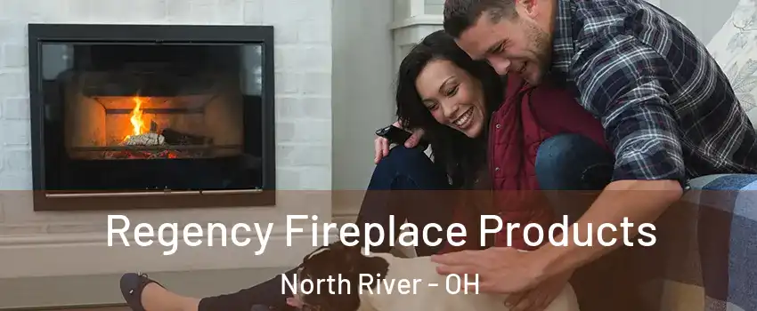 Regency Fireplace Products North River - OH