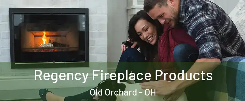 Regency Fireplace Products Old Orchard - OH