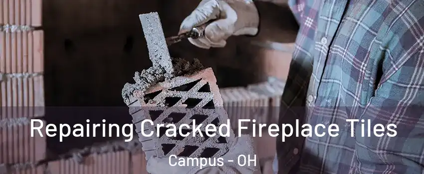 Repairing Cracked Fireplace Tiles Campus - OH