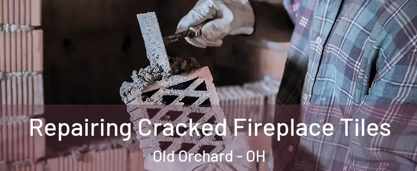 Repairing Cracked Fireplace Tiles Old Orchard - OH