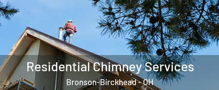 Residential Chimney Services Bronson-Birckhead - OH