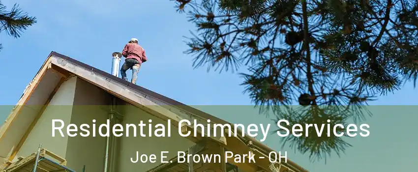 Residential Chimney Services Joe E. Brown Park - OH
