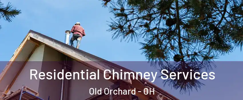 Residential Chimney Services Old Orchard - OH