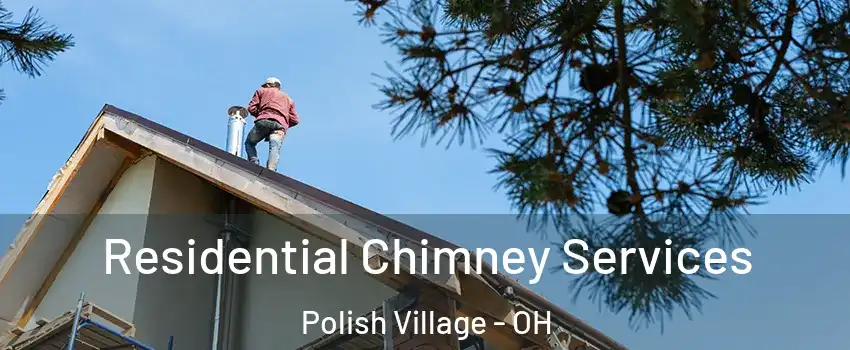 Residential Chimney Services Polish Village - OH