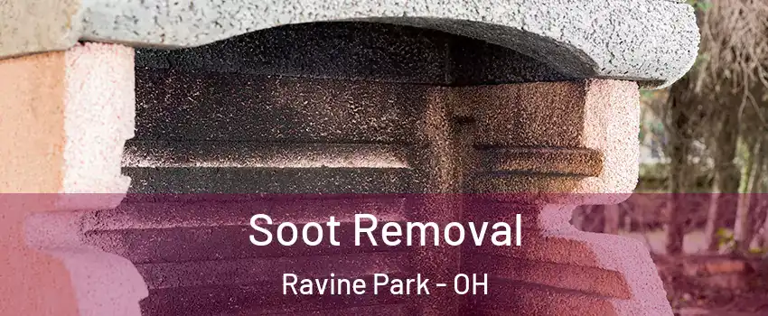Soot Removal Ravine Park - OH
